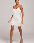 Women’s Fashion Modern Cocktail Dress with Fringe Feathers