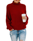 Women’s Chunky Turtleneck Knit Sweater